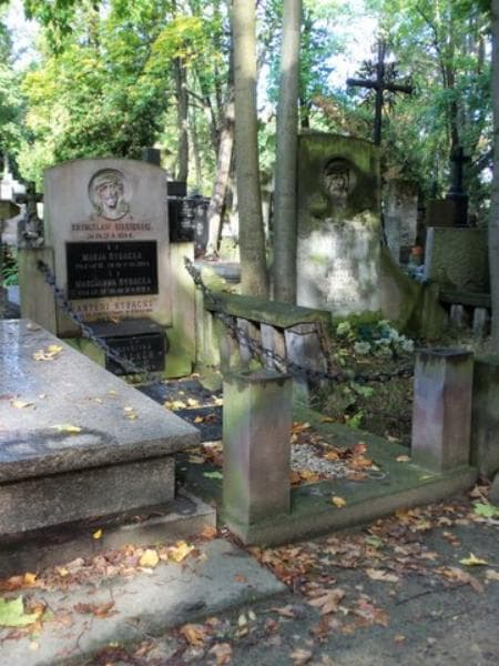 Zdjęcie grobu Wiktor Stevermark (1)