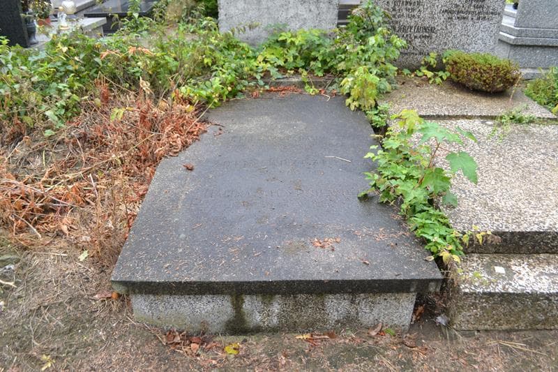 Zdjęcie grobu Stanisława Brzezińska (1)