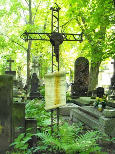Zdjęcie grobu Zofia Thomas (1)