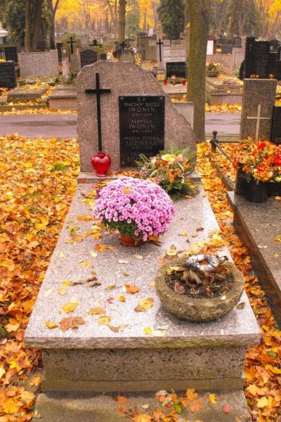 Zdjęcie grobu: Jadwiga Iwonin