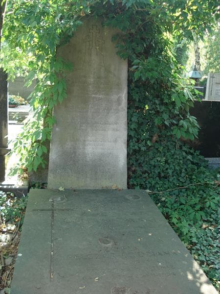 Zdjęcie grobu Kazimierz Pelczar (2)
