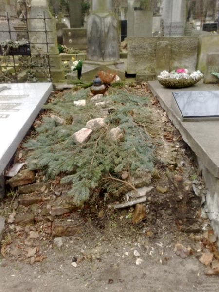 Zdjęcie grobu: Józef Chrzanowski