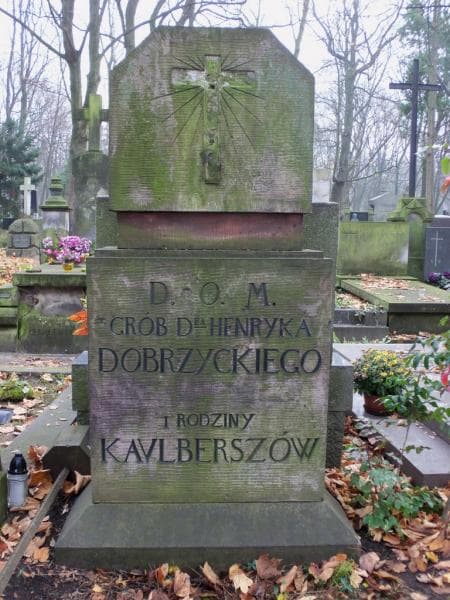 Zdjęcie grobu Henryk Dobrzycki (1)