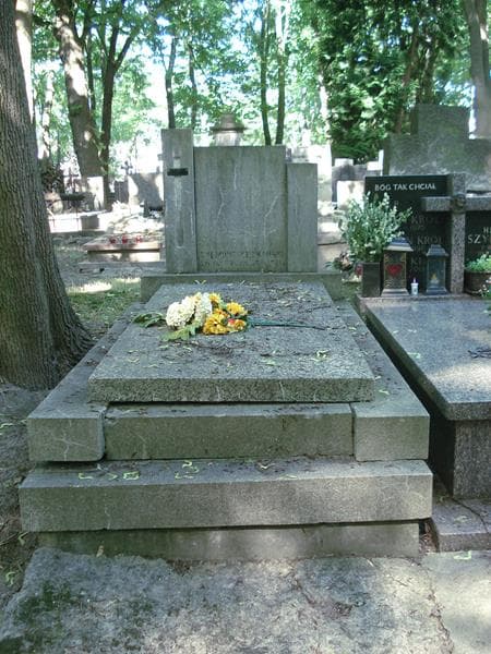 Zdjęcie grobu: Zygmunt Bednarski