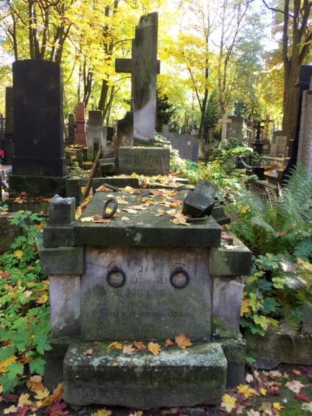 Zdjęcie grobu: Leokadja Okuliczowa