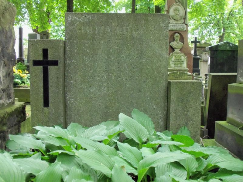 Zdjęcie grobu Julia Lucas (1)