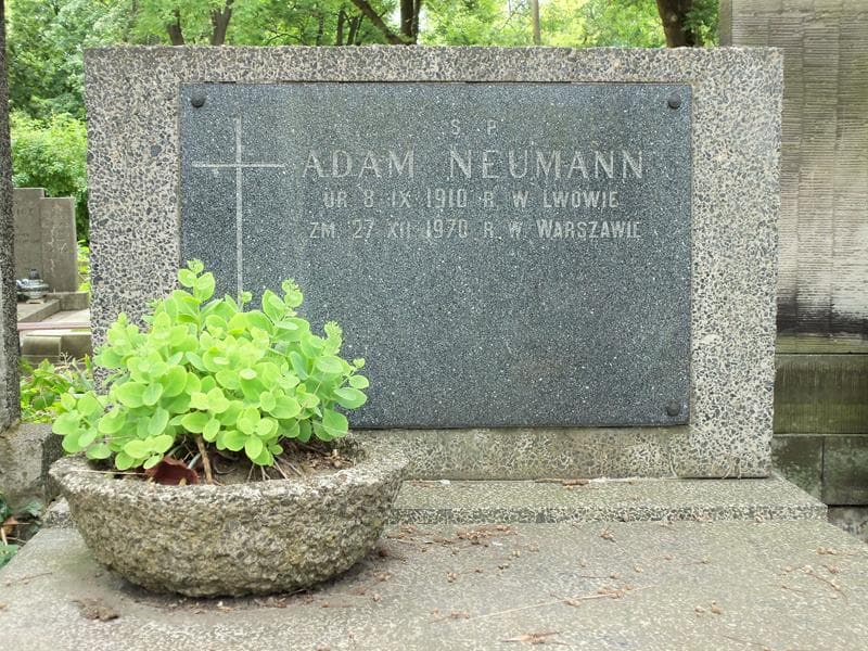 Zdjęcie grobu Adam Neumann (2)