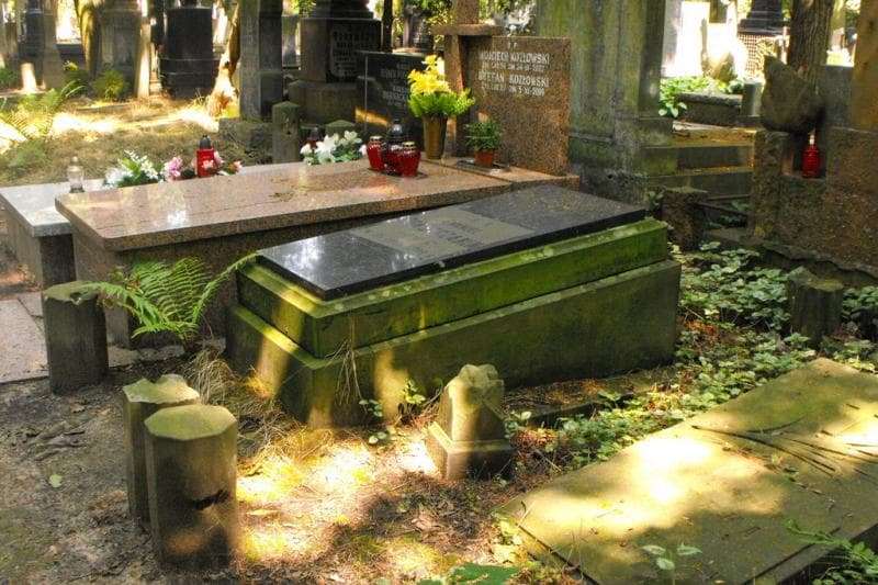 Zdjęcie grobu Emanuel Bokszczanin (1)