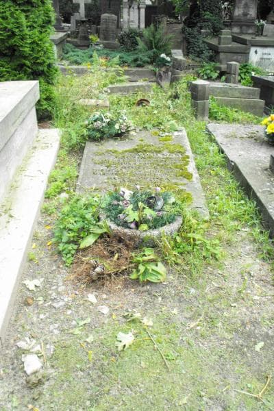 Zdjęcie grobu: Nepomucena Wysokieńska