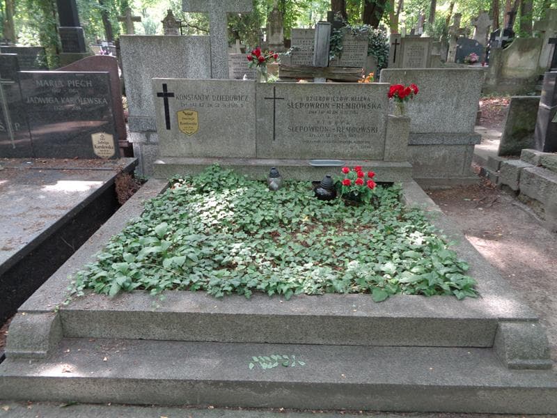 Zdjęcie grobu Konstanty Dziebowicz (1)