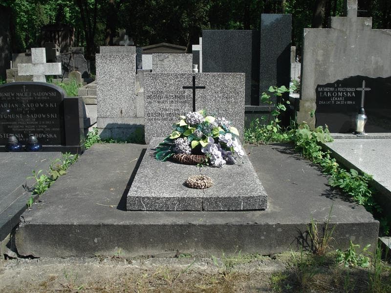 Zdjęcie grobu: Stanisław Orsini-Rosenberg