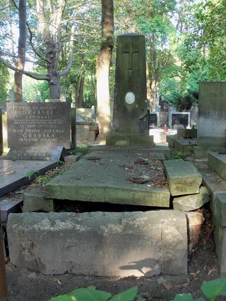 Zdjęcie grobu: Władysław Holtzman