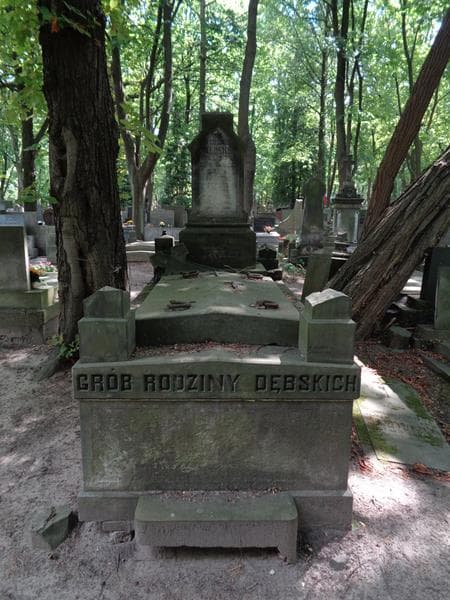 Zdjęcie grobu Antoni Dębski (1)