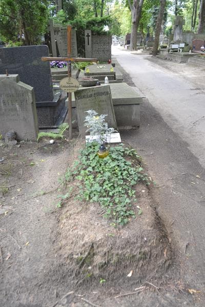 Zdjęcie grobu Stanisław Ostrowski (2)