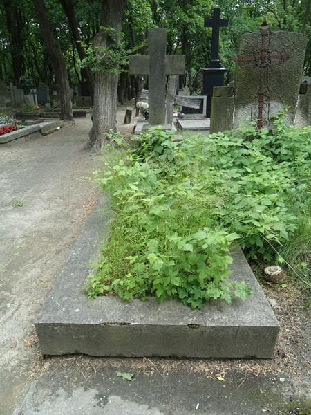 Zdjęcie grobu: Franciszka Myszkowska