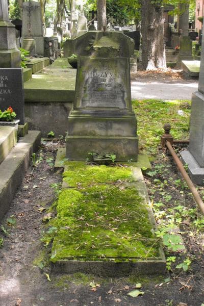 Zdjęcie grobu Stanisław Tarczyński (1)