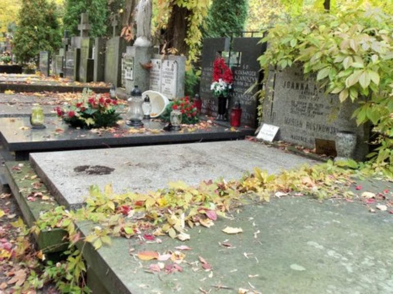 Zdjęcie grobu Bronisław Rostkowski (1)