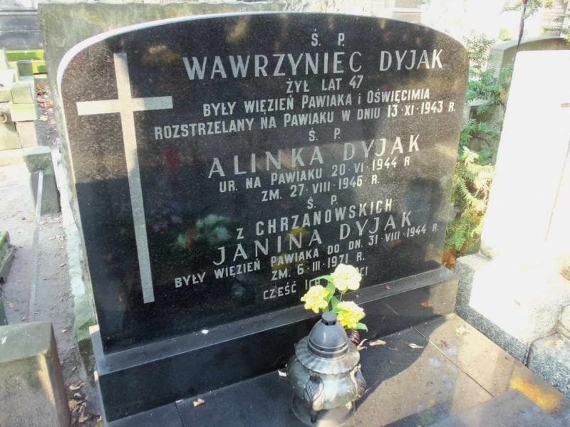 Zdjęcie grobu Alinka Dyjak (2)
