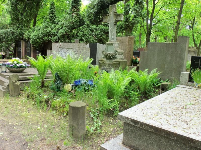 Zdjęcie grobu Helenka Słupińska (1)