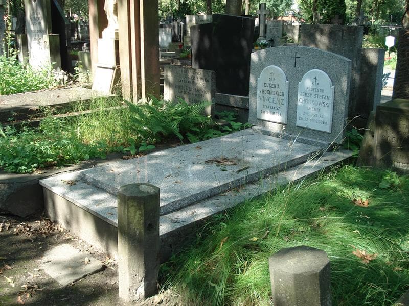 Zdjęcie grobu: Jerzy Stefan Chodkowski