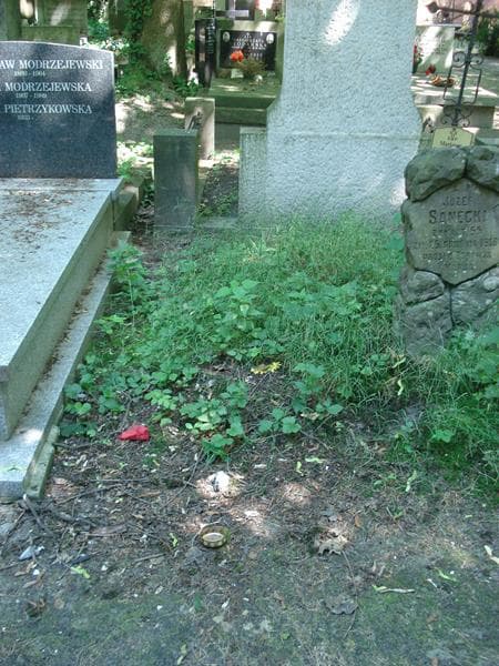 Zdjęcie grobu Pole Grobowe (1)