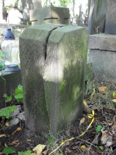 Zdjęcie grobu Henryk Bem (2)