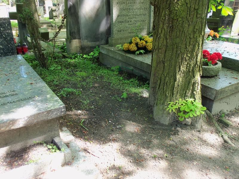 Zdjęcie grobu Pole Grobowe (1)