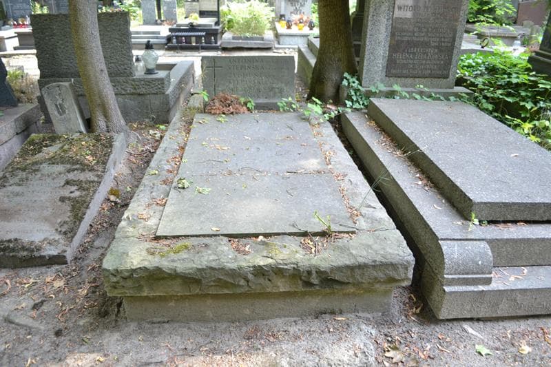 Zdjęcie grobu Zygmunt Stępiński (1)