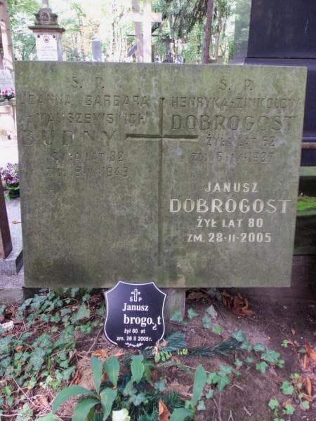 Zdjęcie grobu Henryka Dobrogost (1)