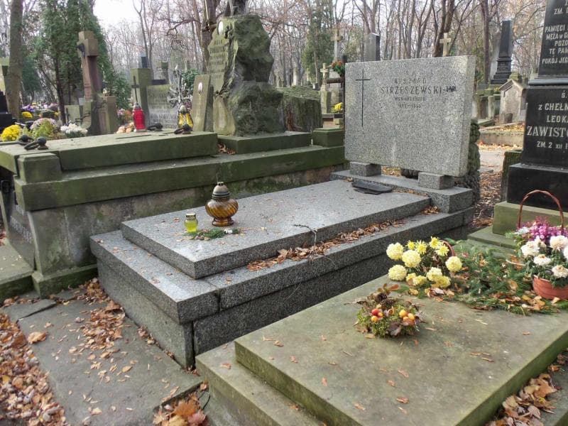 Zdjęcie grobu Bronisława Strzeszewska (1)