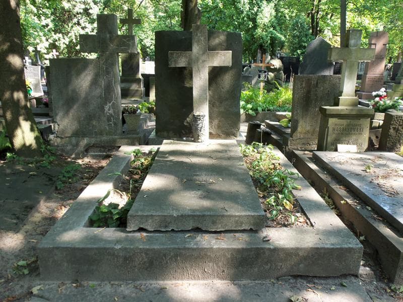 Zdjęcie grobu Edward Piwnicki (1)