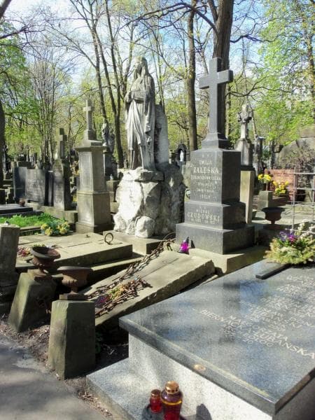 Zdjęcie grobu Michał Czudowski (1)