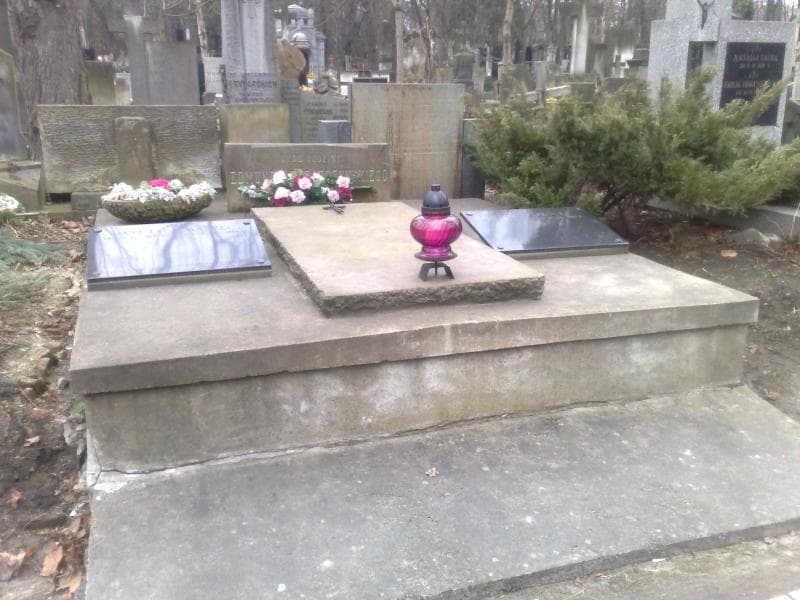 Zdjęcie grobu: Zofia Drzażdżyńska