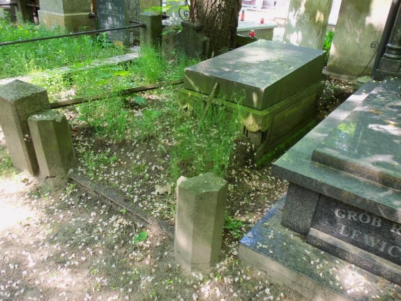 Zdjęcie grobu Wiktorya Polczyńska (1)