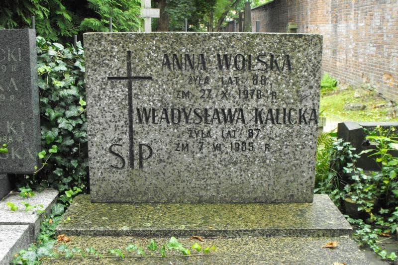 Zdjęcie grobu Anna Wolska (1)