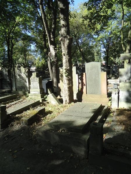 Zdjęcie grobu Stach Leoniuk (1)