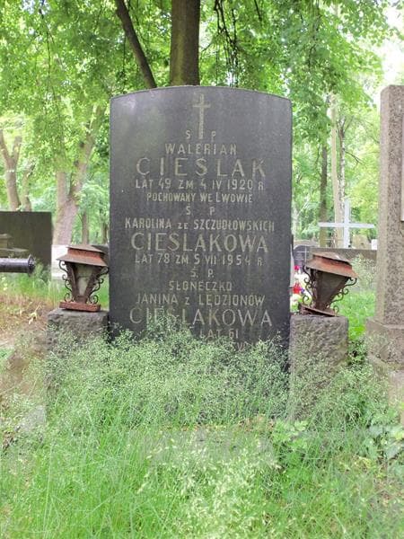 Zdjęcie grobu Walerian Cieślak (2)