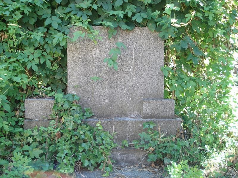 Zdjęcie grobu Hanna Dziewińska (1)