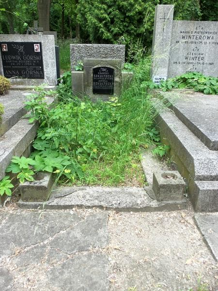 Zdjęcie grobu: Ksawery Szkultecki