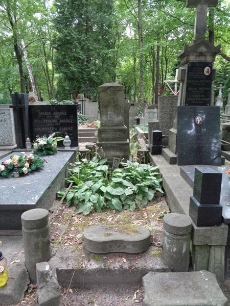 Zdjęcie grobu Julianna Przybylska (1)