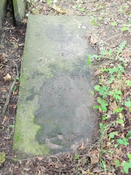 Zdjęcie grobu Eleonora Kozicka (1)