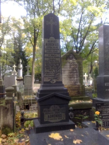 Zdjęcie grobu August Aurenius (1)