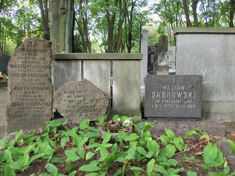 Zdjęcie grobu Marjan Dąbrowski (2)