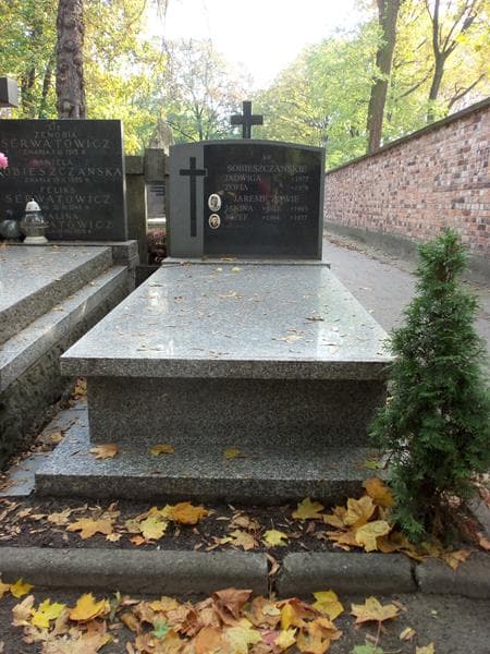 Zdjęcie grobu: Józef Jaremicz