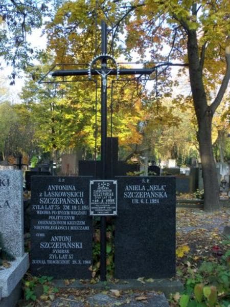 Zdjęcie grobu Antonina Szczepańska (2)