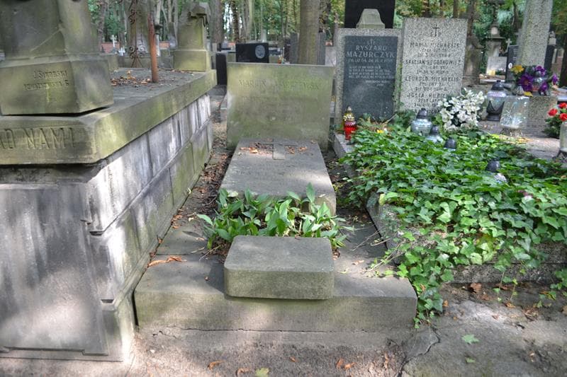 Zdjęcie grobu Stanisław Marczewski (1)