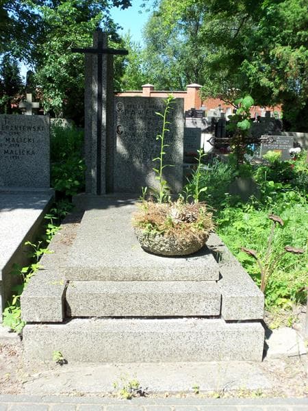 Zdjęcie grobu: Józefa Pawelska