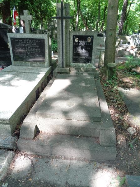 Zdjęcie grobu Władysław Jastrzębski (1)