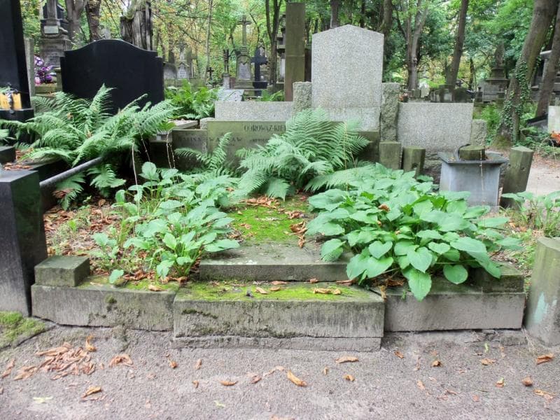 Zdjęcie grobu: Katarzyna Odrowąż-Kietlińska