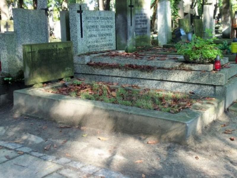Zdjęcie grobu Aleksander Wajnert (1)